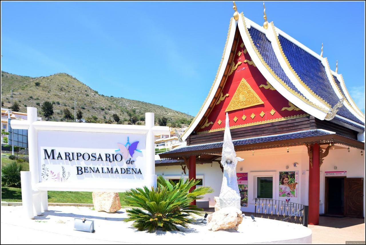 Honeymoon Apartments 贝纳尔马德纳 外观 照片